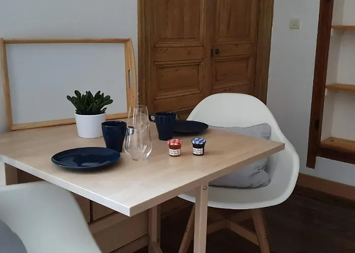 Studio Tres Spacieux Avec Cour, En Plein Coeur De ! Apartament