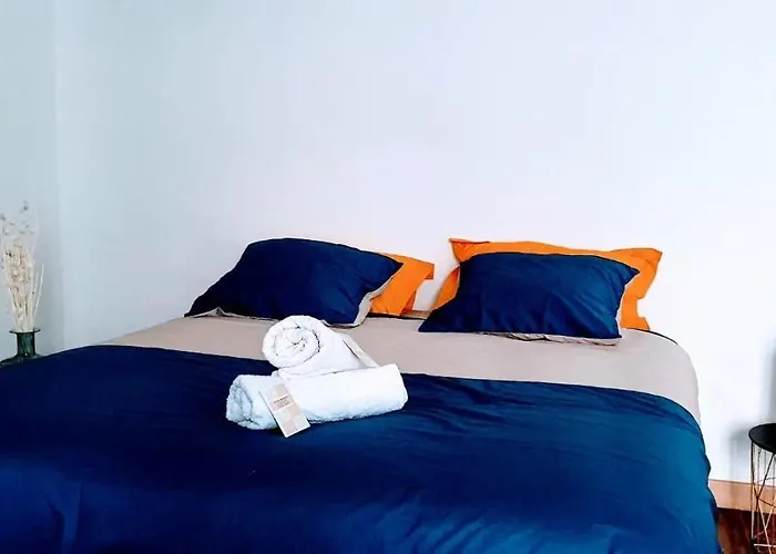 Studio Tres Spacieux Avec Cour, En Plein Coeur De ! Carcassonne