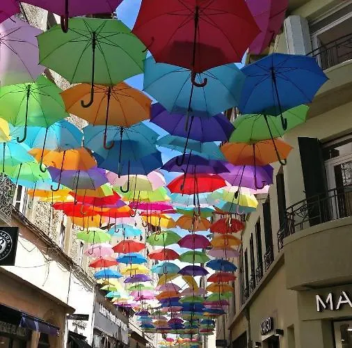 Studio Tres Spacieux Avec Cour, En Plein Coeur De ! Carcassonne
